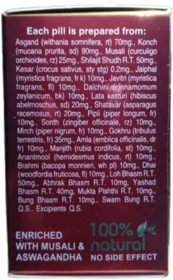 Rajvaidya Rasayan Vati (200 Tablets) – Supports Normal Immune Function - görsel 1