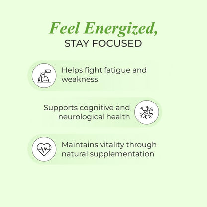 NUTRELA Patanjali Vitamin B12 Biofermented Plant Based Supplement for Men & Women with Moringa and Aloe Vera Extract - 30 Vegan Capsules (Pack of 2)