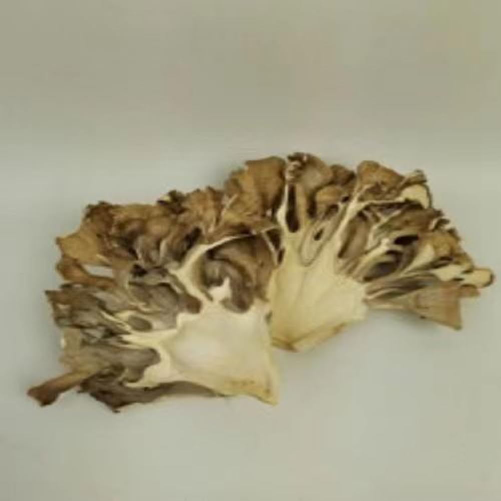 Maitake Mushroom Huishuhua (1000g) - görsel 5