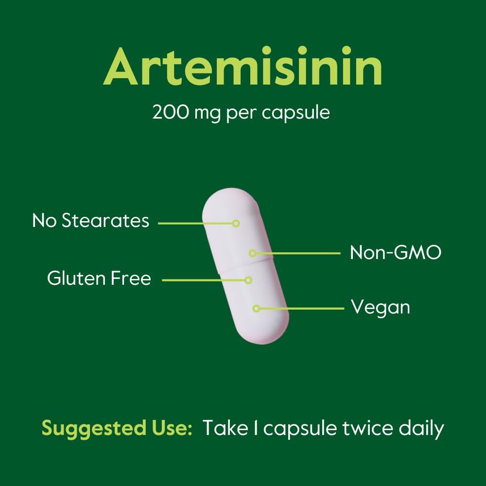 BESTVITE Artemisinin 200mg - 60 Vegetarian Capsules - görsel 5
