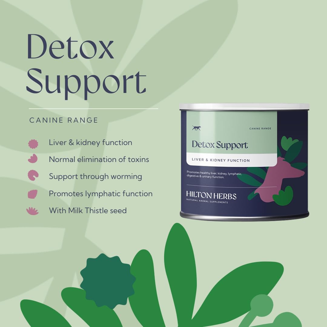 Hilton Herbs Canine Detox Support Herbal Liver Function Supplement for Dogs, 4.4 oz Tub - görsel 4