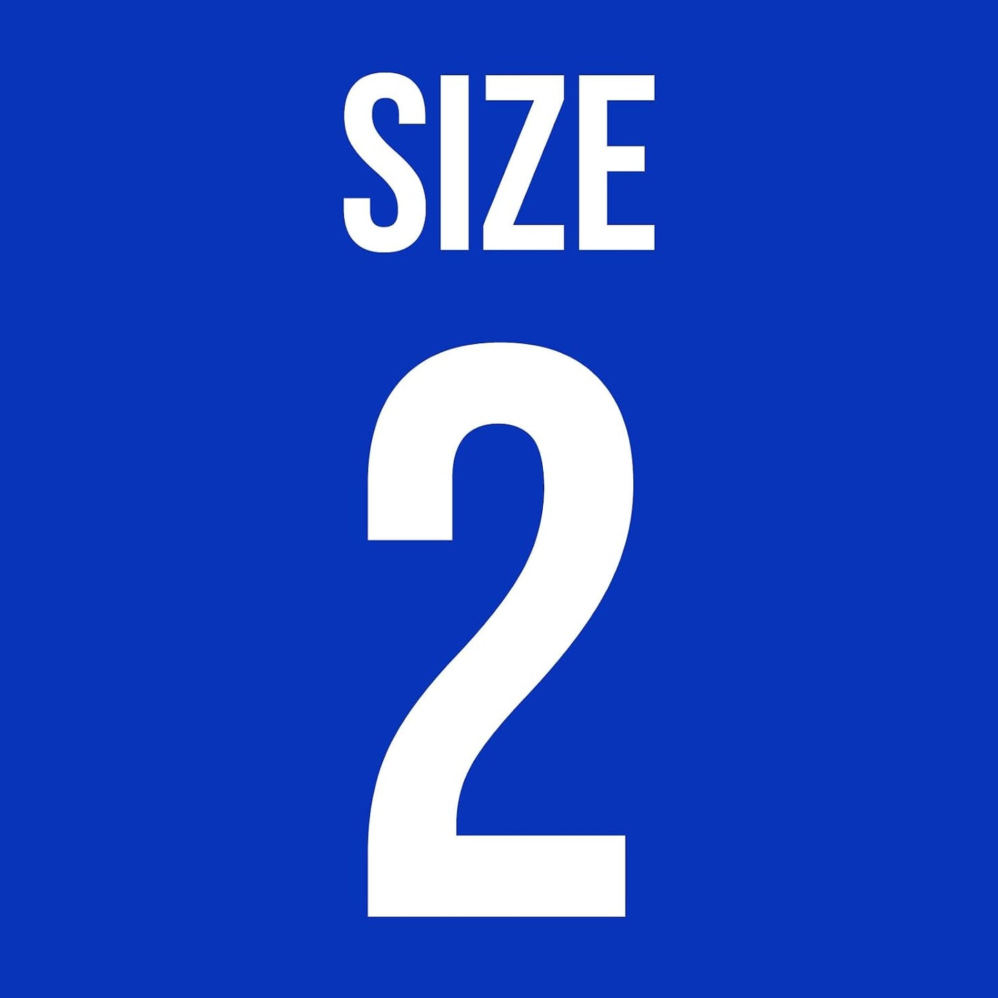 Empty Vegan Capsules Size 2 - 100 Count - DIY Filling with Micro Lab Spoons - görsel 8