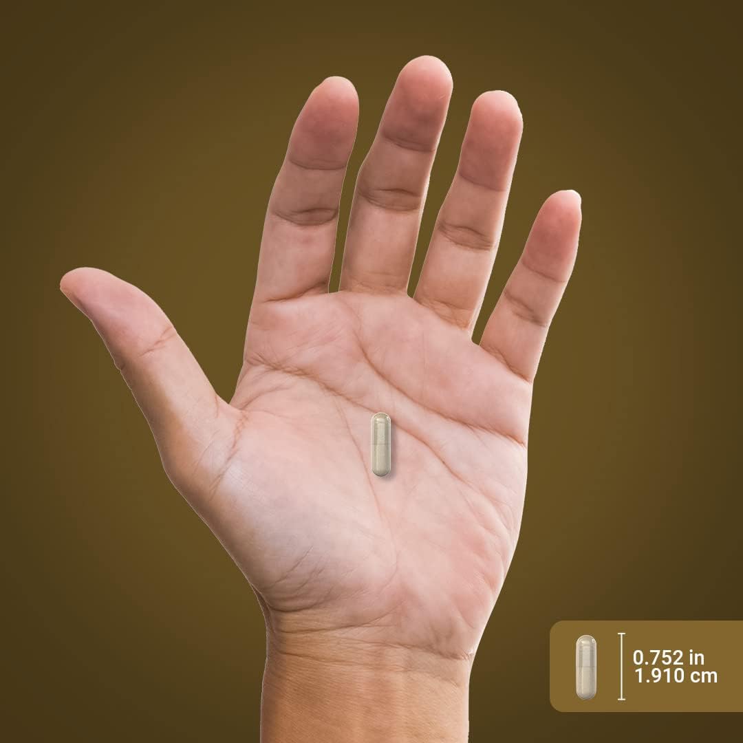 Piping Rock Pygeum 100mg - 240 Capsules - Standardised Pygeum Africanum Bark Extract - görsel 7