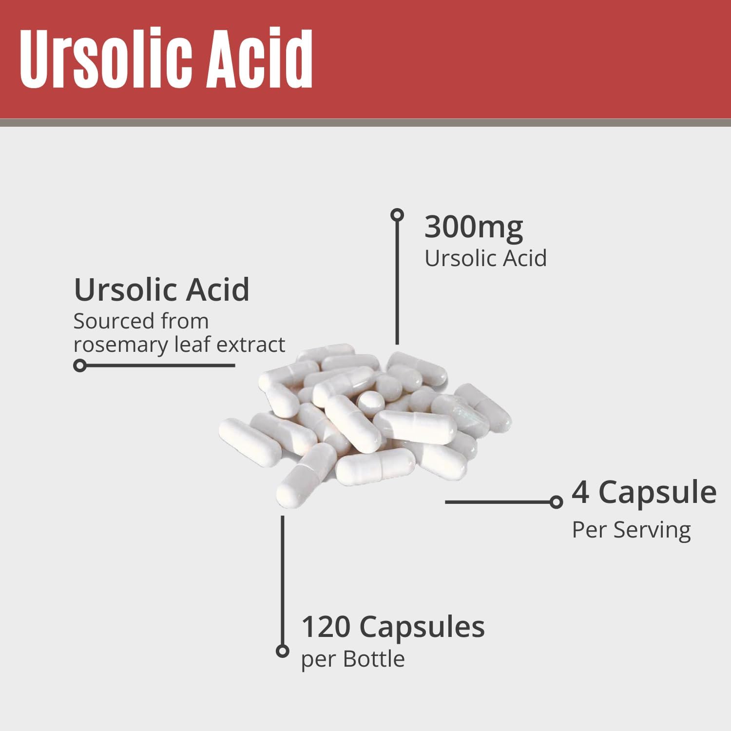 MAAC10 Ursolic Acid 300mg - Derived from Rosemary Extract, AMPK & Sirtuin Activator - görsel 5