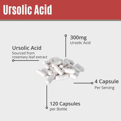MAAC10 Ursolic Acid 300mg - Derived from Rosemary Extract, AMPK & Sirtuin Activator