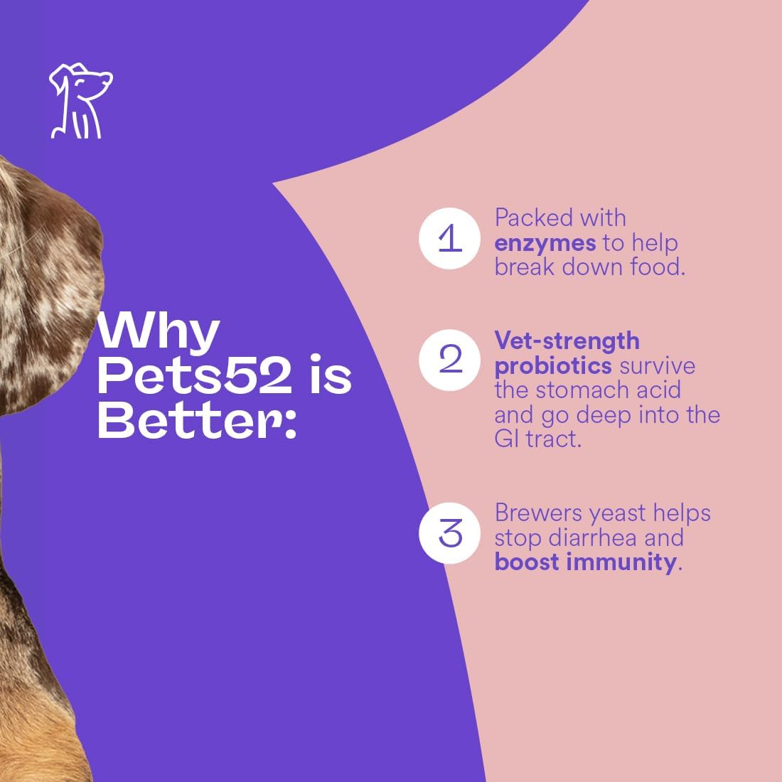 Pets 52 - Digestive Dog Probiotics with Enzymes: Supports Healthy Gut Flora, Boosts Immune Function, Promotes Stomach Comfort, Vet-Strength Formula for Improved Digestion - 30-Day Supply - görsel 4