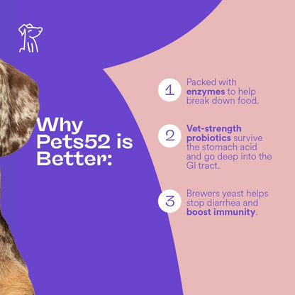 Pets 52 - Digestive Dog Probiotics with Enzymes: Supports Healthy Gut Flora, Boosts Immune Function, Promotes Stomach Comfort, Vet-Strength Formula for Improved Digestion - 30-Day Supply