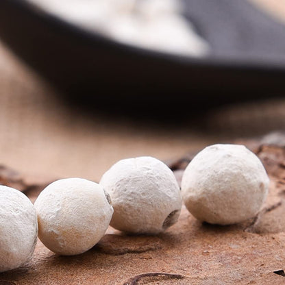 Euryale Ferox (Fox Nut) - Great Gorgon Euryale Seed - 1 kg