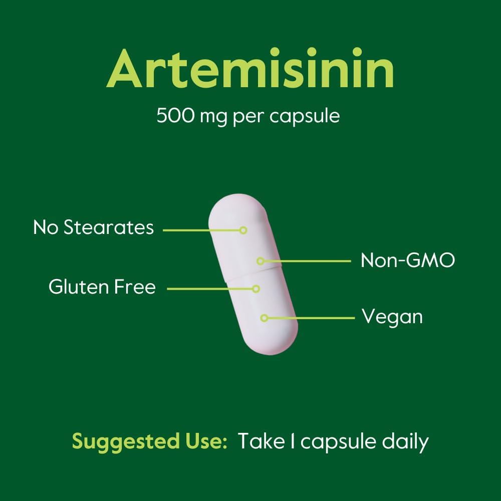 BESTVITE Artemisinin 500mg - 60 Vegetarian Capsules - Pure Formula - görsel 5
