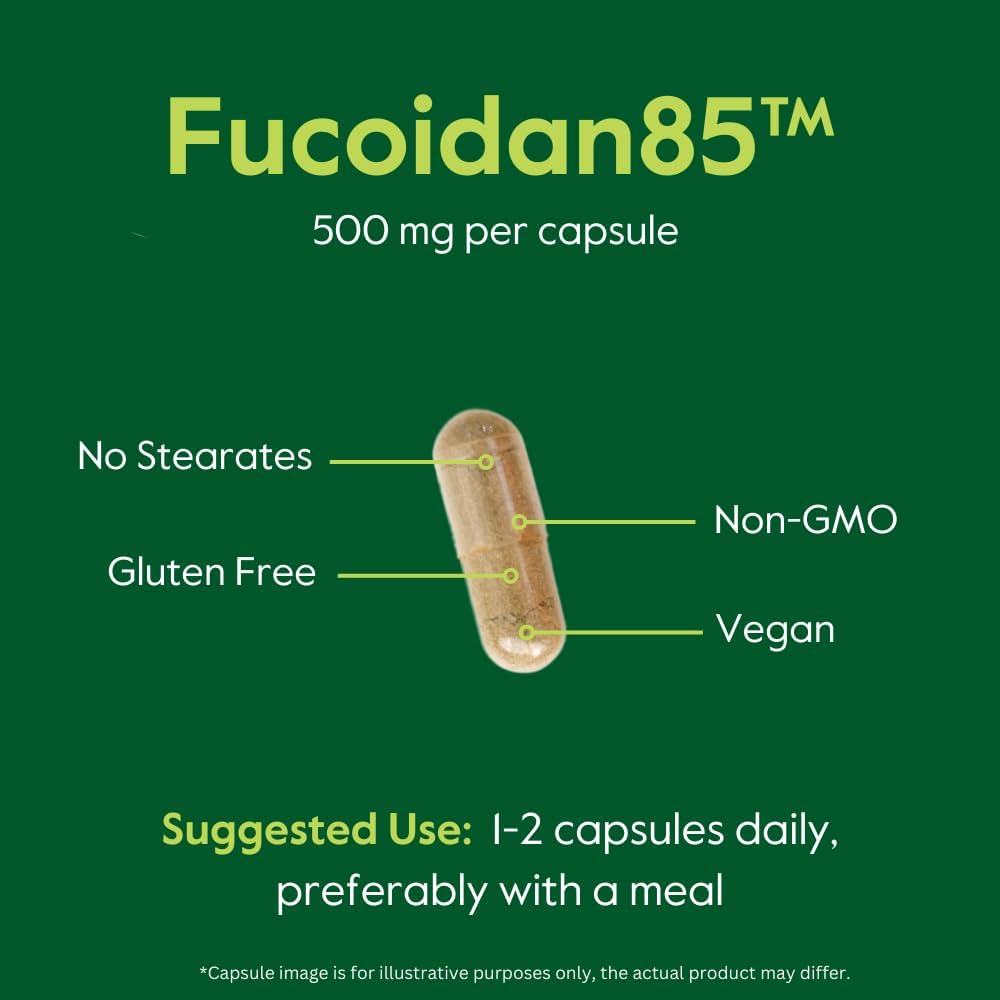 BESTVITE Fucoidan Extract 500mg (Standardised to 85% Fucoidan) - 120 Vegetarian Capsules - görsel 6