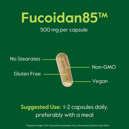 BESTVITE Fucoidan Extract 500mg (Standardised to 85% Fucoidan) - 120 Vegetarian Capsules