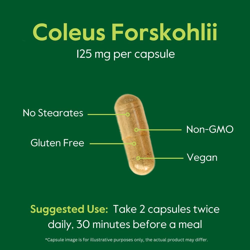 BESTVITE Coleus Forskohlii 125 mg – 20% Forskolin (120 Vegetarian Capsules) - görsel 6