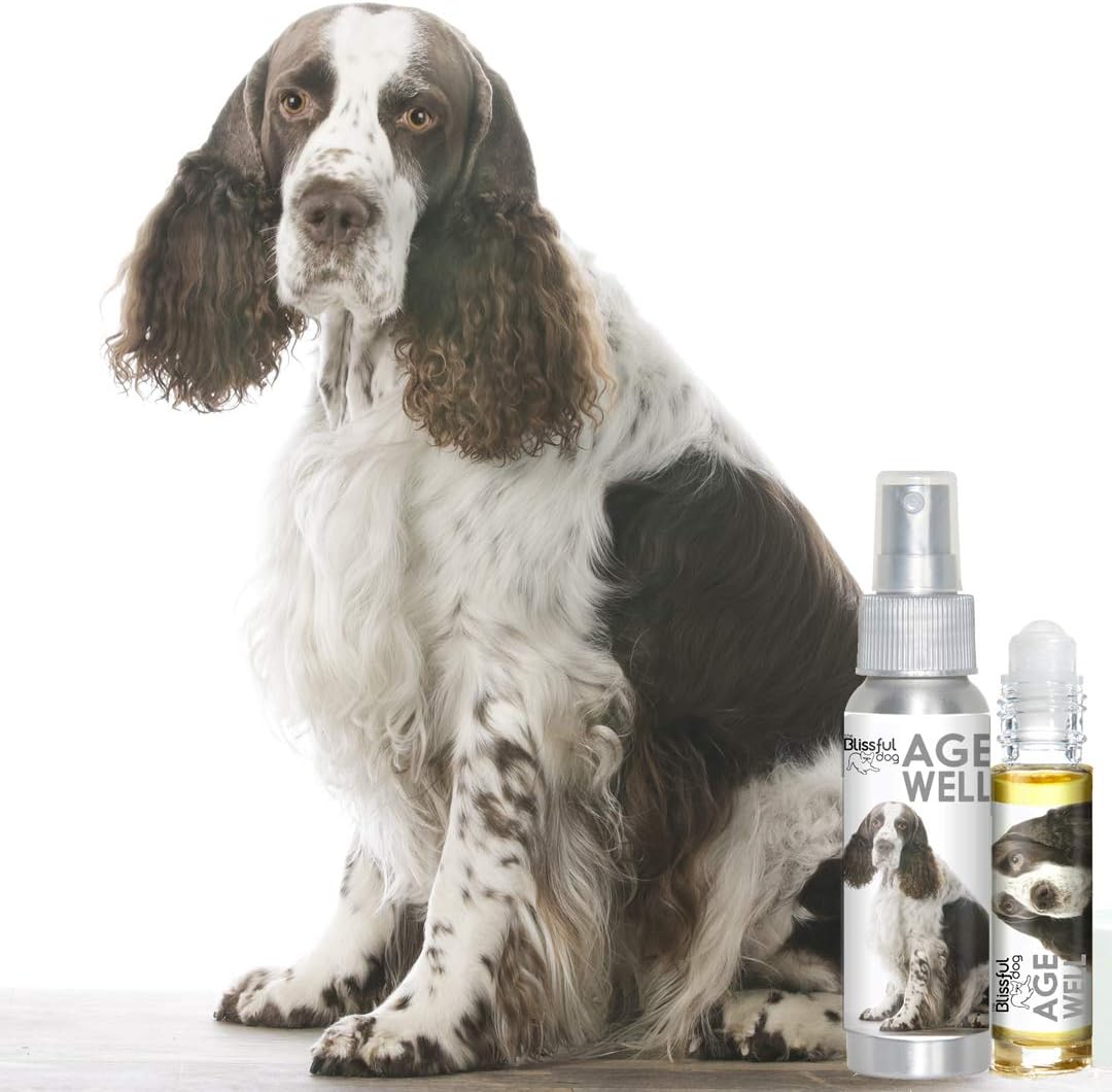 The Blissful Dog Springer Spaniel Age Well Aromatherapy Spray - görsel 2