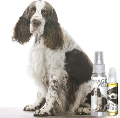 The Blissful Dog Springer Spaniel Age Well Aromatherapy Spray