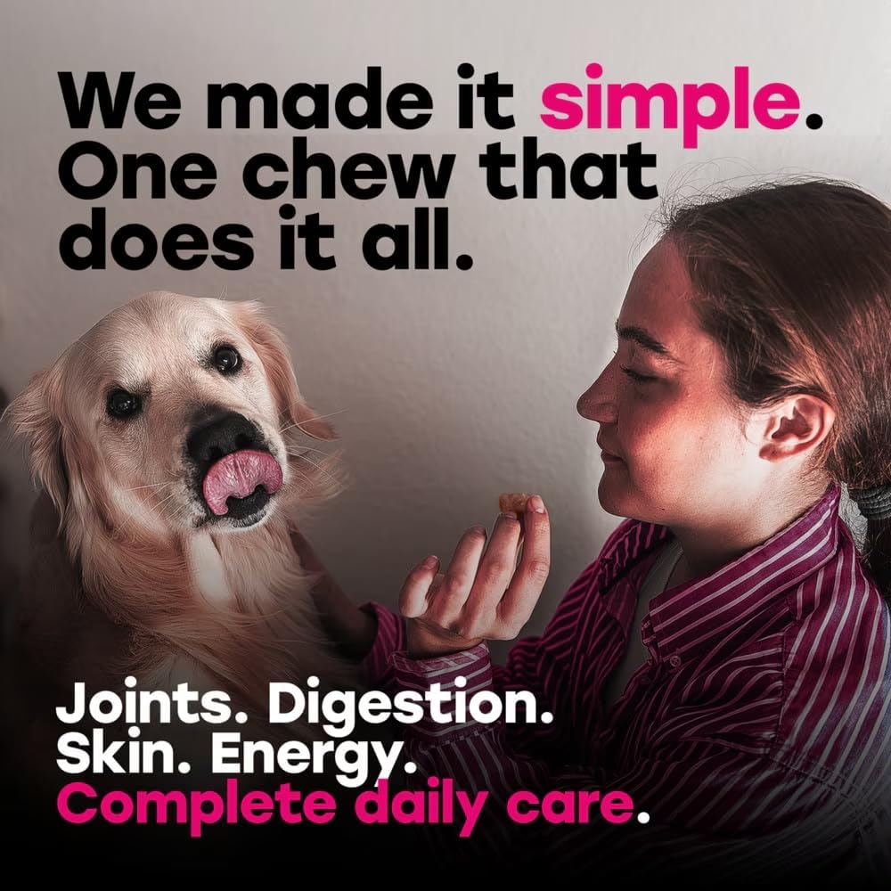 24-in-1 Dog Multivitamin Chews – Dog Vitamins & Supplements with Glucosamine, Chondroitin, Probiotics, Salmon Oil, Biotin – Daily Mobility, Digestion, Skin & Coat Support, Beef Flavour | 24-in-1 daily dog multivitamin, beef flavour, 140 soft chews - görsel 2