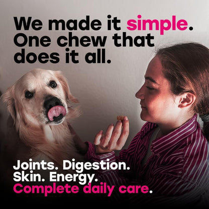 24-in-1 Dog Multivitamin Chews – Dog Vitamins & Supplements with Glucosamine, Chondroitin, Probiotics, Salmon Oil, Biotin – Daily Mobility, Digestion, Skin & Coat Support, Beef Flavour | 24-in-1 daily dog multivitamin, beef flavour, 140 soft chews