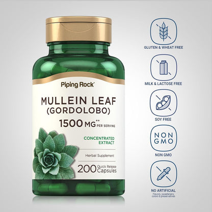 Piping Rock Mullein Leaf Extract | 200 Capsules | Gordolobo Herb Supplement | Non-GMO, Gluten-free