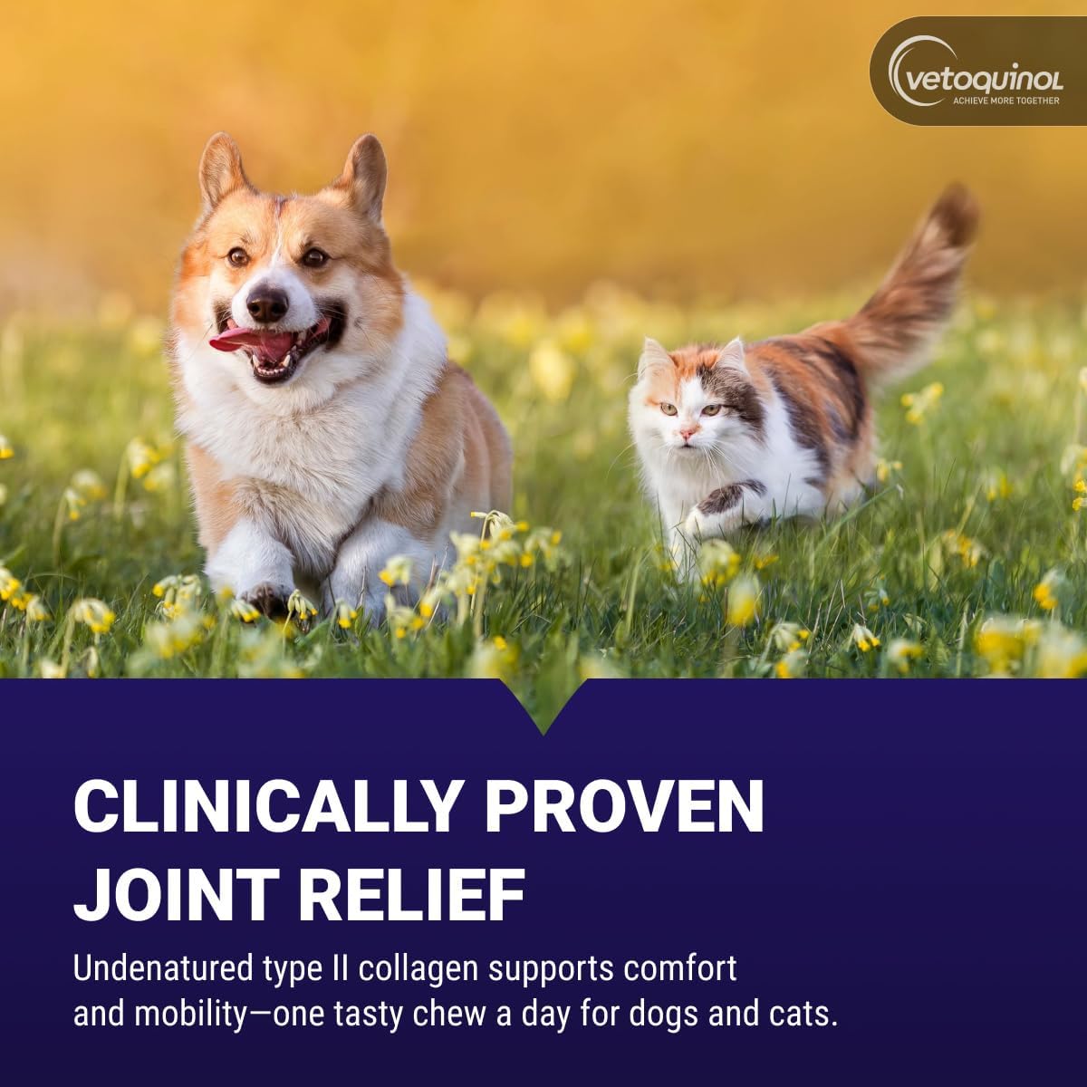 Vetoquinol Flexadin Advanced Hip and Joint Supplement with Undenatured Collagen for Dogs and Cats, 30 Chews - görsel 2