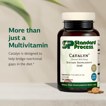 Standard Process Catalyn General Wellbeing Food Supplement - Non-Dairy & Non-Soy - 360 Tablets