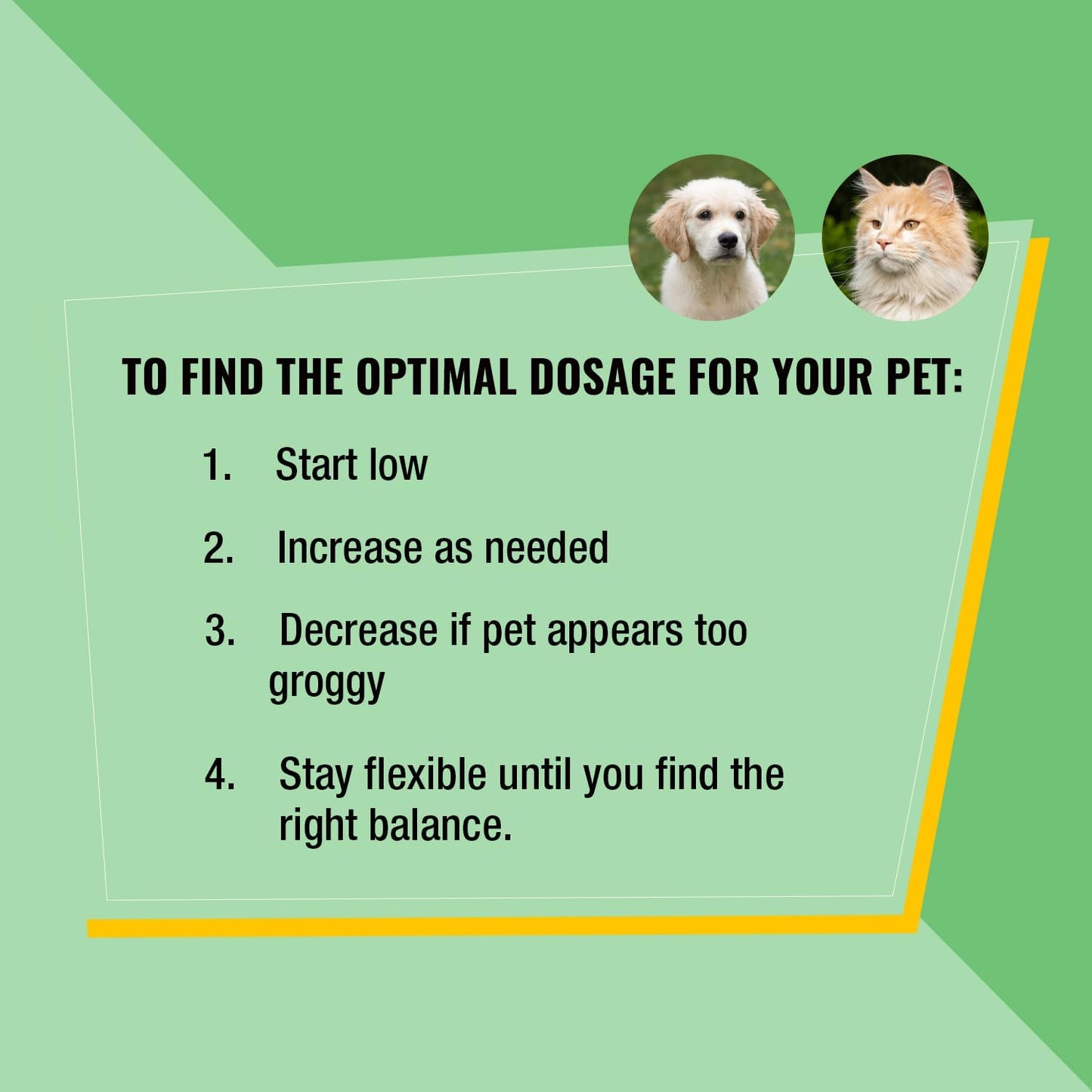 Pet Hemp Oil with Catnip – Organic Hemp Tincture for Dogs and Cats - görsel 9