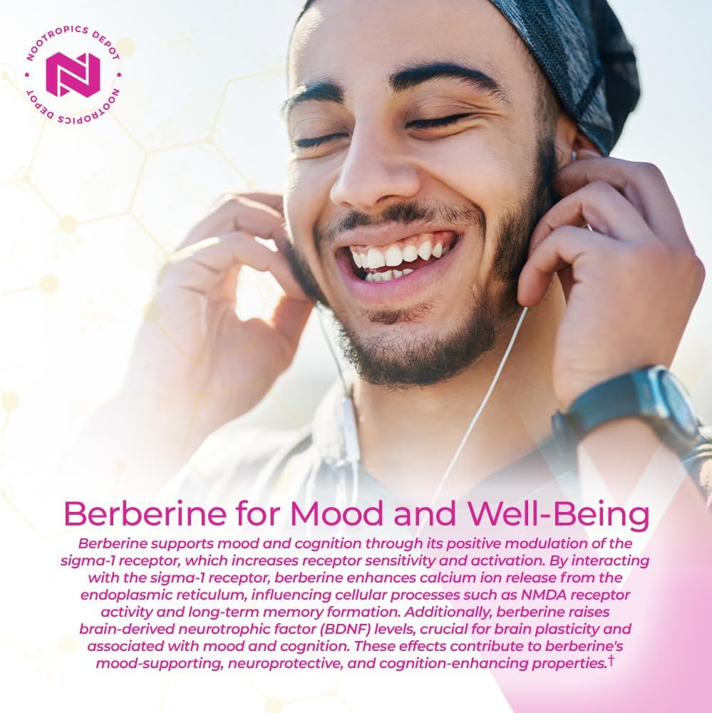 Nootropics Depot Berberine HCL + Silymarin Capsules | 500mg + 100mg | 180 Count - görsel 4