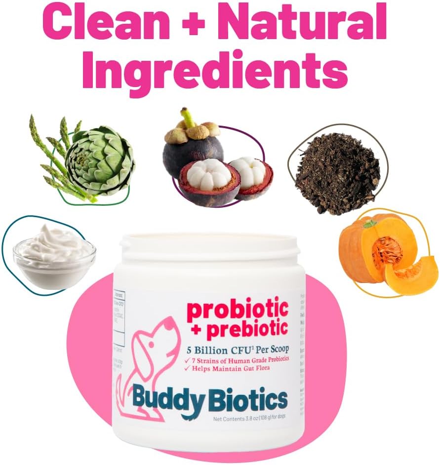 Probiotic + Prebiotic Powder for Dogs – 7 Probiotic Strains with FOS, 5 Billion CFU - görsel 5