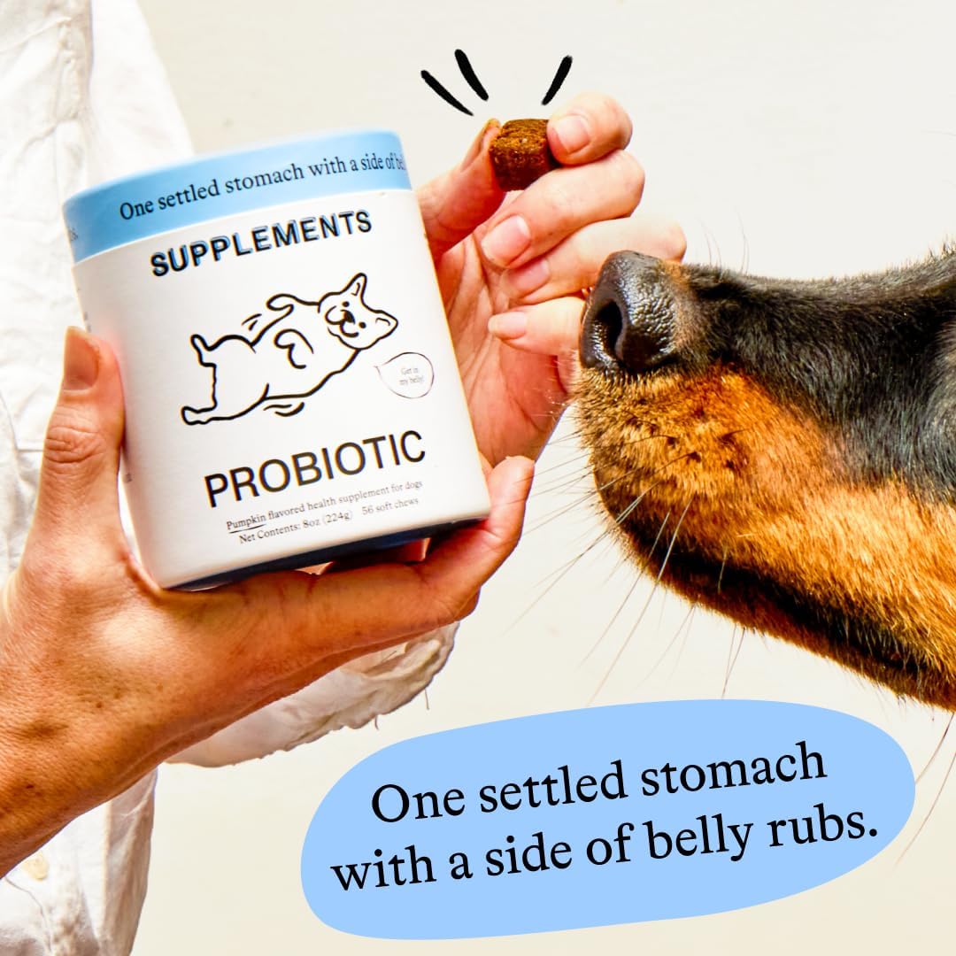 Spot & Tango Probiotics Supplements for Dogs - Vet-Approved for Healthy Digestion and Balanced Gut - Pumpkin, Turmeric, Chicory Root, Black Pepper, Nine-Strain Probiotic Blend, 56 Count - görsel 4