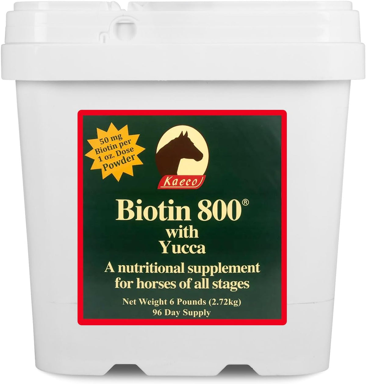 Biotin 800 Powder, 2.72 kg - görsel 1