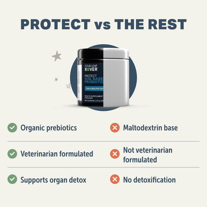 Protect - Probiotics for Dogs - Veterinary Formulated - with Natural Prebiotics and Antioxidants - Detoxification & Gut Health - 30 Day Large Dog Supply