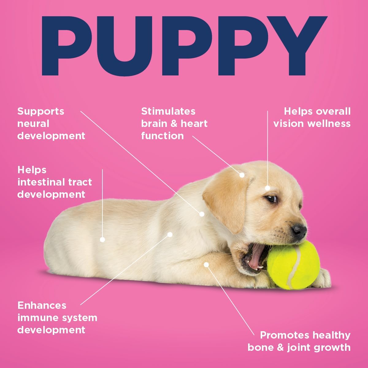 Vetericyn All-in-1 Multifunctional Puppy Supplement - görsel 3