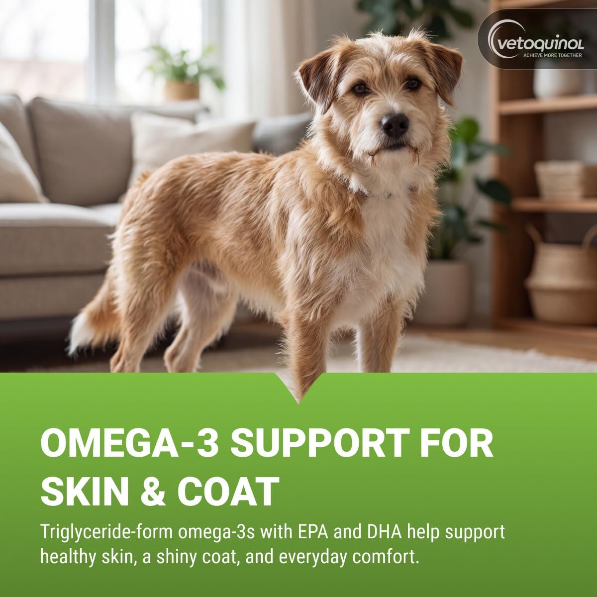 Vetoquinol Triglyceride Omega - Fish Oil for Dogs and Cats - Supports Healthy Skin, Coat and Normal Immune Function - 237 ml - görsel 2