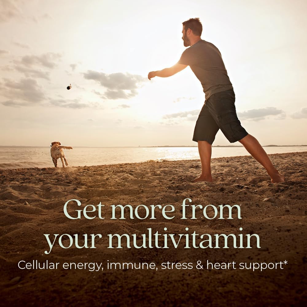 New Chapter Every Man's One Daily Multivitamin - 48 Tablets - görsel 2