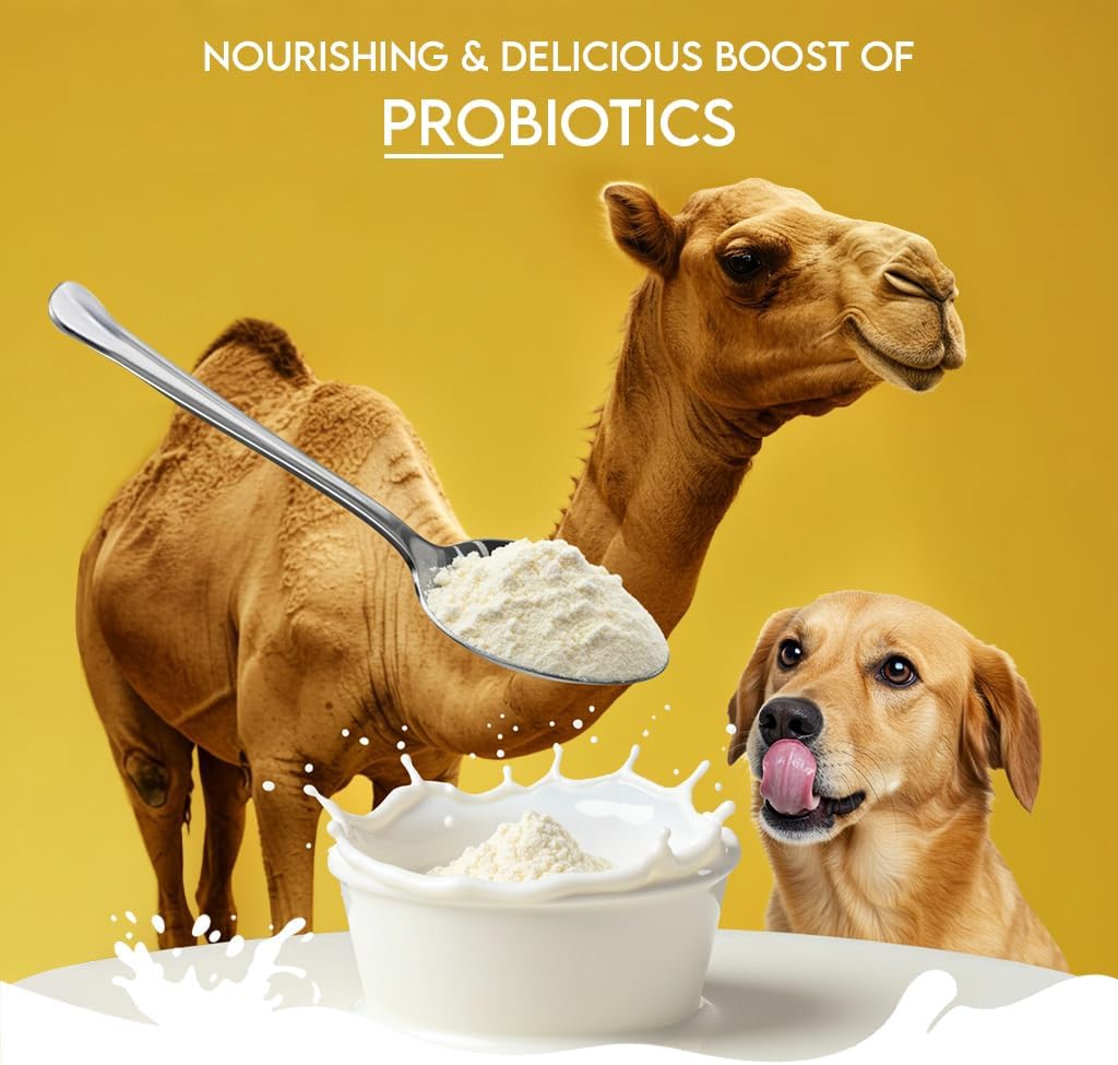 Pawfect Nature's Sip All-Natural Camel Milk Powder for Dogs & Puppies - Easily Digestible - Source of Vitamins, Minerals, Probiotics - Healthy Topper - Hydration Support - 90 Scoops (450g) - görsel 2