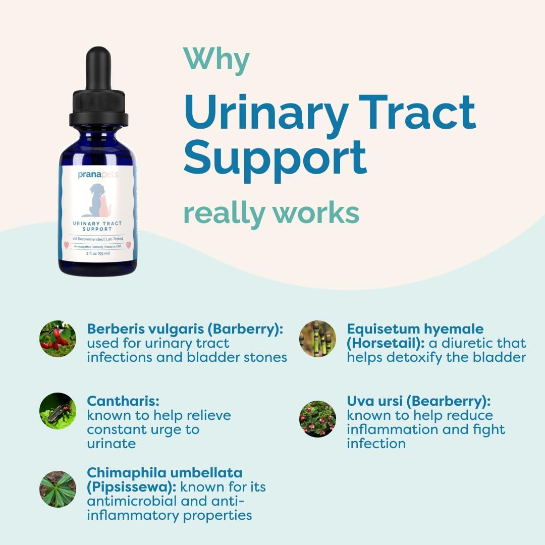 PranaPets Urinary Tract Support Liquid Supplement for Pets - görsel 4