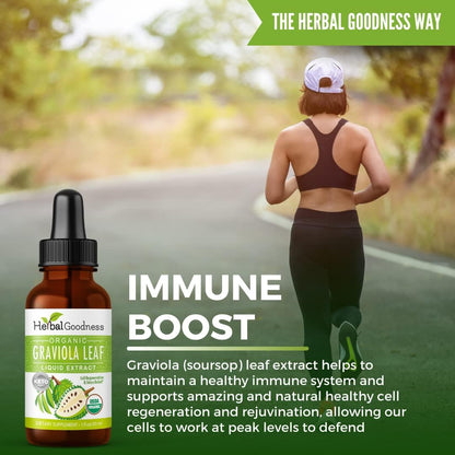 Herbal Goodness Organic Soursop Graviola Leaf Extract 30ml – 15:1 Concentrated Liquid Tincture