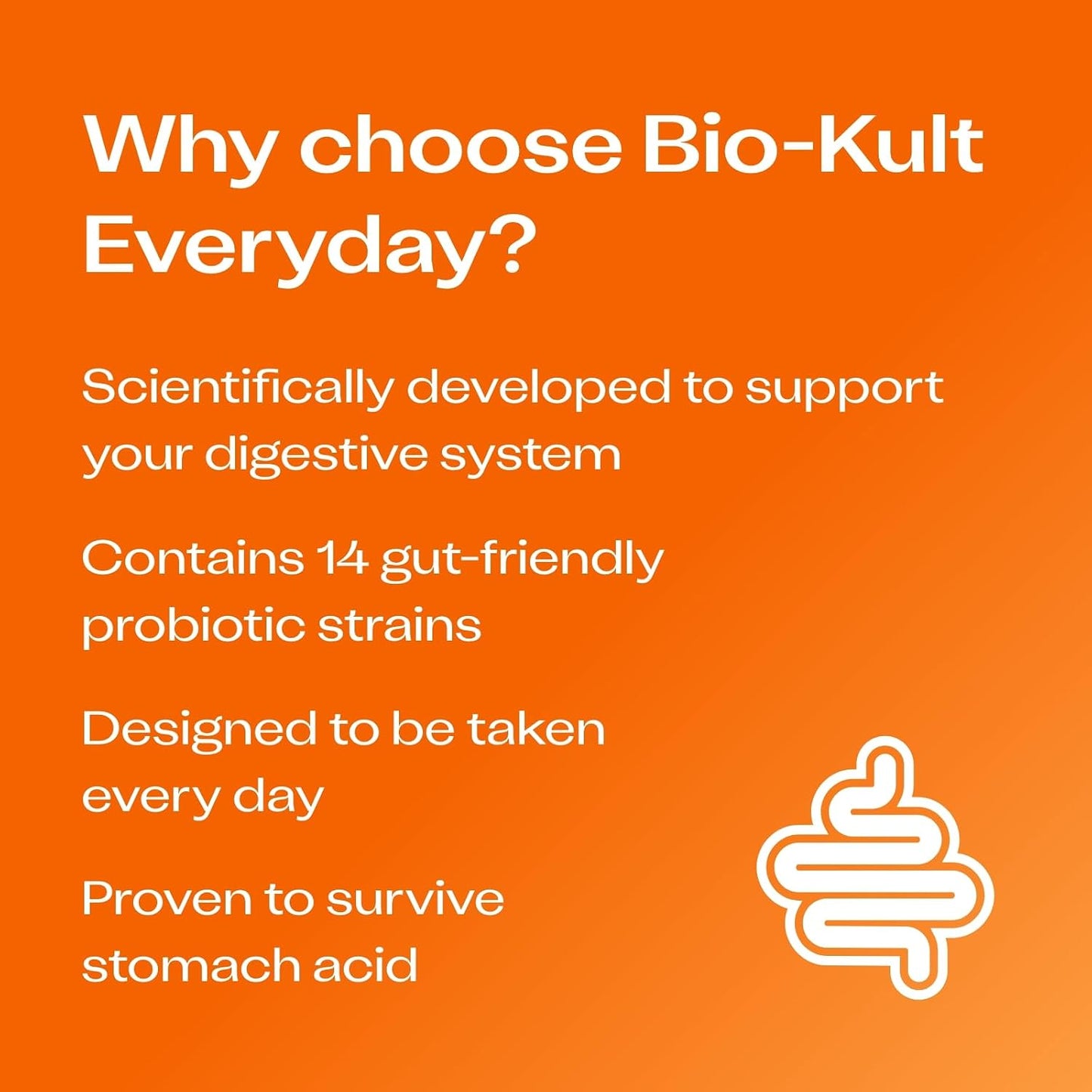 Bio-Kult Gut Health Probiotic Supplement – 14 Strains for Digestive & Immune Support - görsel 3