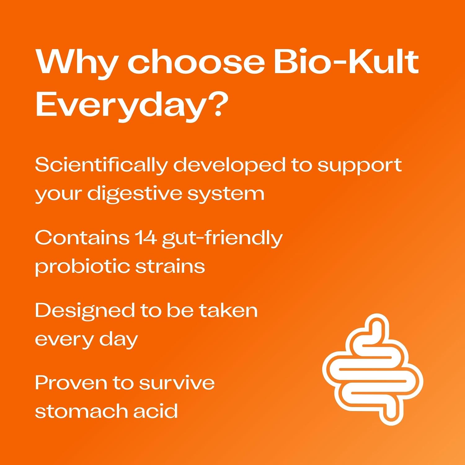Bio-Kult Gut Health Probiotic Supplement – 14 Strains for Digestive & Immune Support - görsel 3