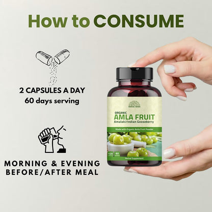 Amla Capsules (Phyllanthus Emblica) – Amalaki Amla 120 Capsules | Natural Antioxidant Superfood | Herbal Supplement Made with Organic Amla Fruit Powder