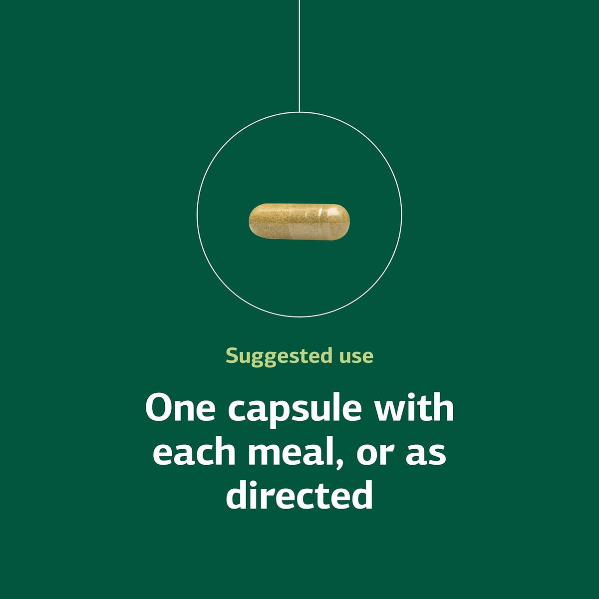 Standard Process Ostarplex - Connective Tissue & Liver Health Supplement with Vitamin B6 - 90 Capsules - görsel 5