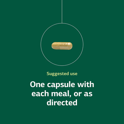 Standard Process Ostarplex - Connective Tissue & Liver Health Supplement with Vitamin B6 - 90 Capsules
