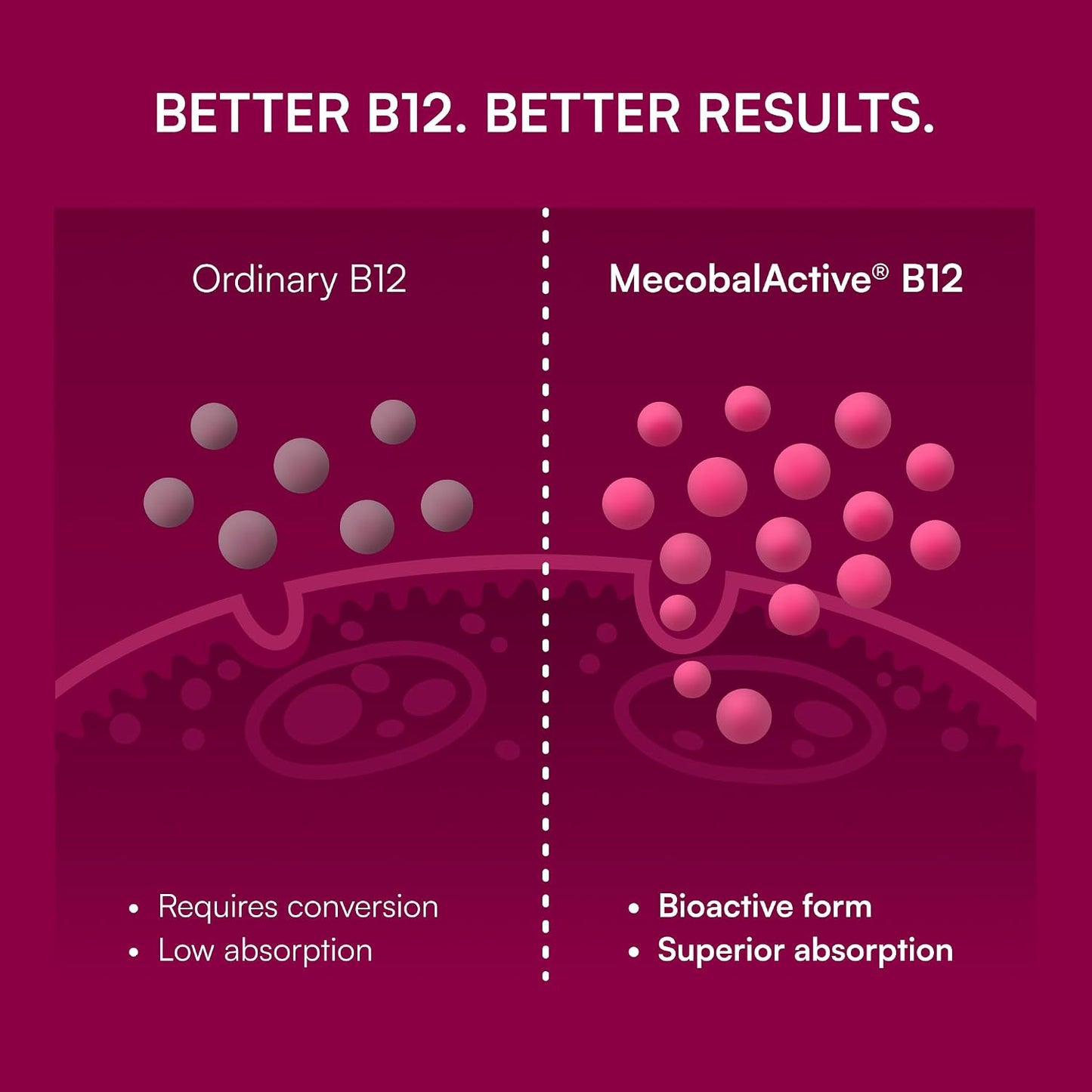 Purity Products B-12 Energy Berry Lemonade Melt with Methylcobalamin B12, B6, D3, Folic Acid, and Biotin - 30 Melting Tablets - görsel 4