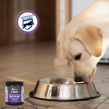 PeakTails Daily Defence Antioxidant Supplement for Dogs – 1,000 Tablets