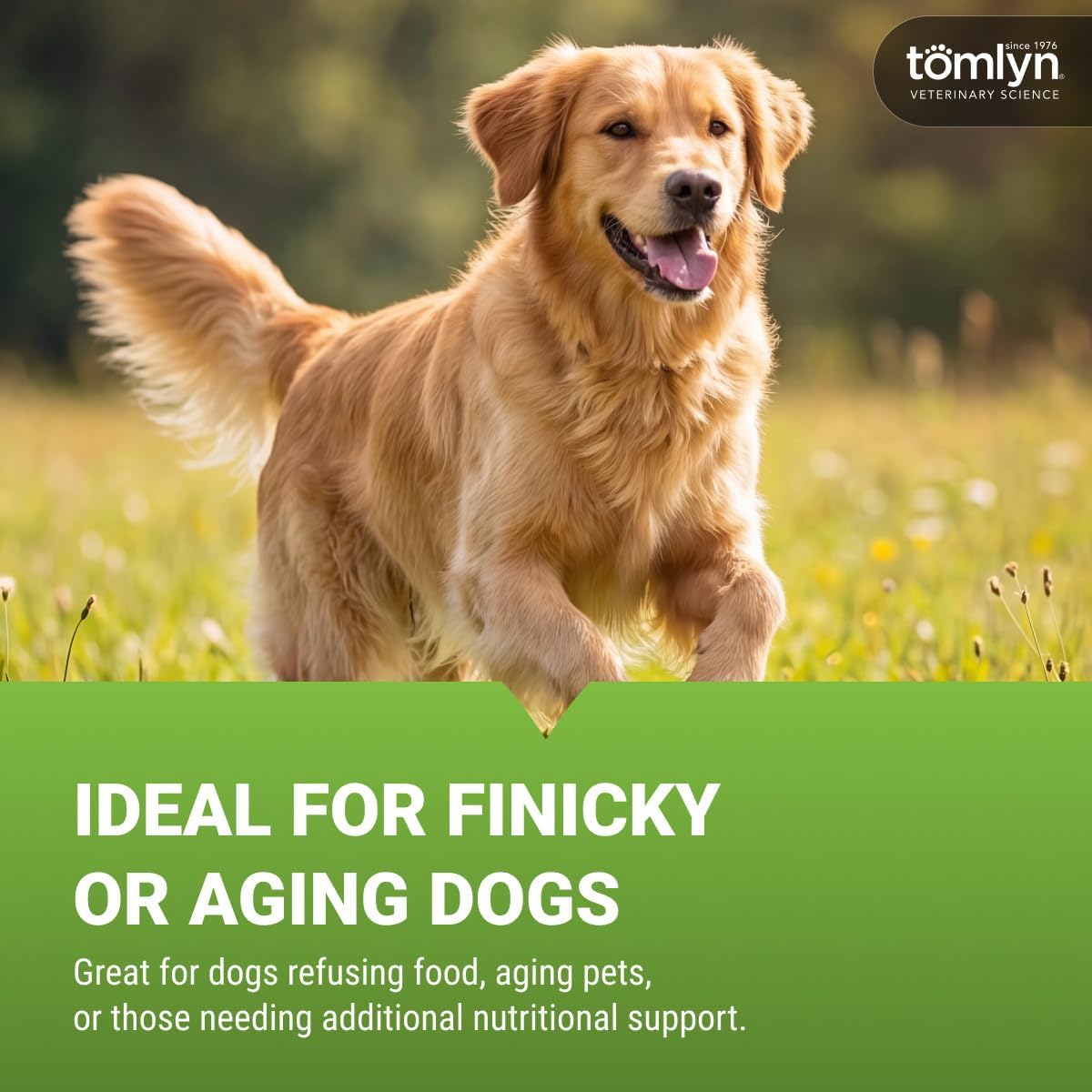 Tomlyn Nutri-Cal Malt-Flavoured High-Calorie Nutritional Gel for Dogs, 120 g - görsel 4