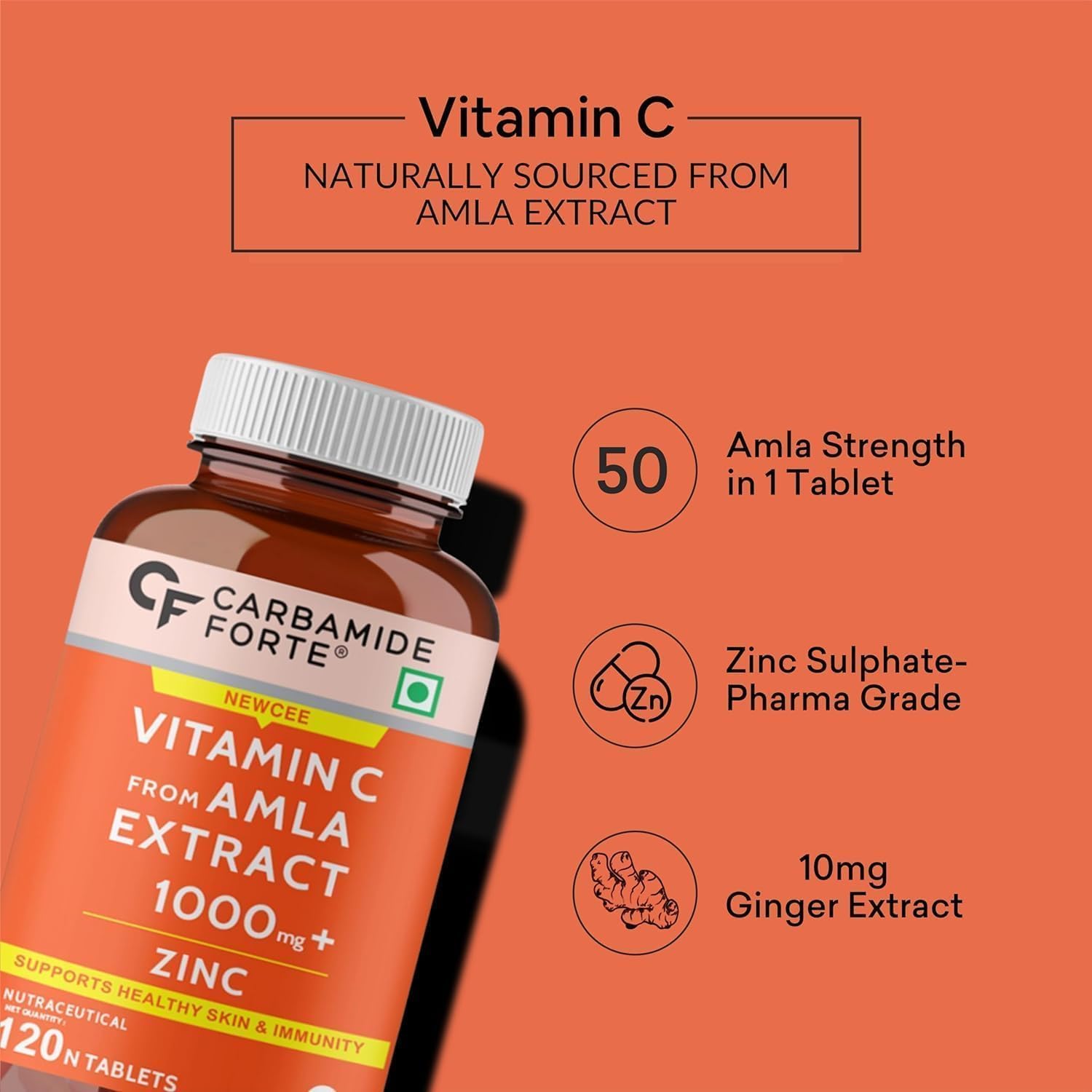 Natural Vitamin C Amla Extract with Zinc - 120 Vegan Tablets - görsel 3