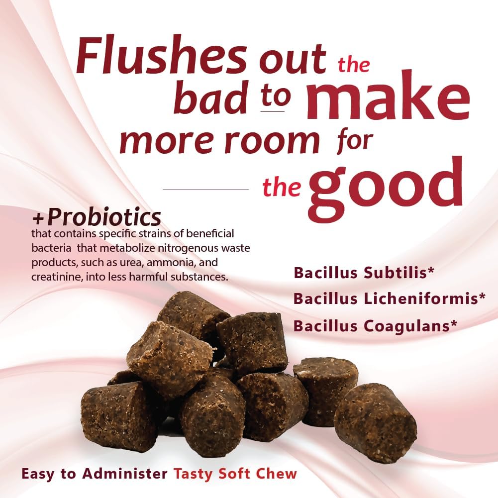 Azoflora Kidney Support Supplement for Dogs – Chicken Flavour Soft Chews (90 Count) - görsel 3