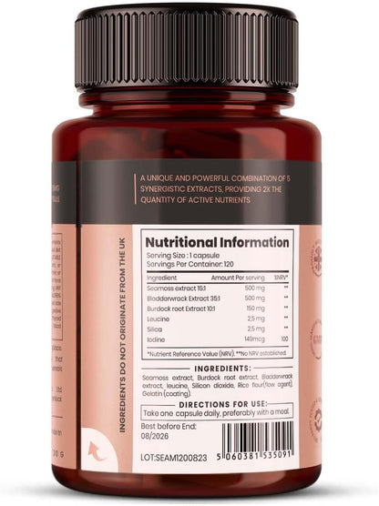 pureclinica Double Strength Seamoss Complex – 1155mg x 120 Capsules (4 Months Supply) – with Sea Moss, Bladderwrack & Burdock Root