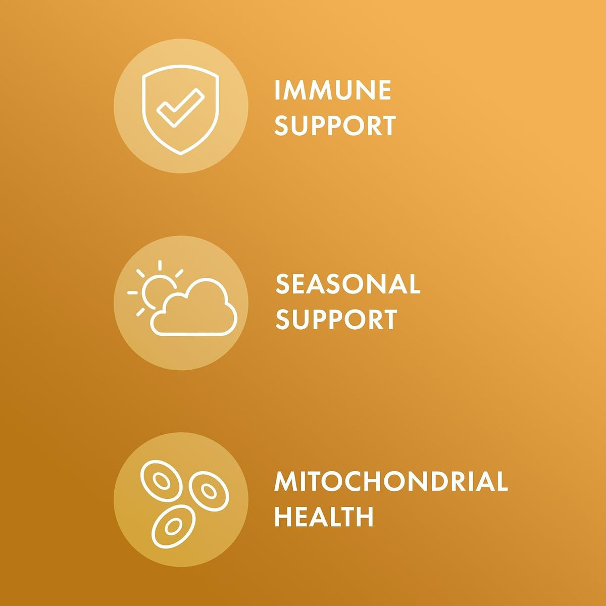 Dr. Mercola Organic Bee Propolis - 30 Capsules - görsel 4