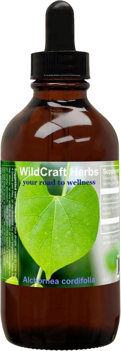 Alchornea Cordifolia Extract 118 ml