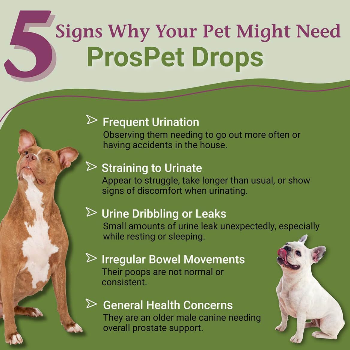PetAlive ProsPet Drops – Herbal Supplement for Dog Prostate, Bladder & Urinary Support - görsel 2