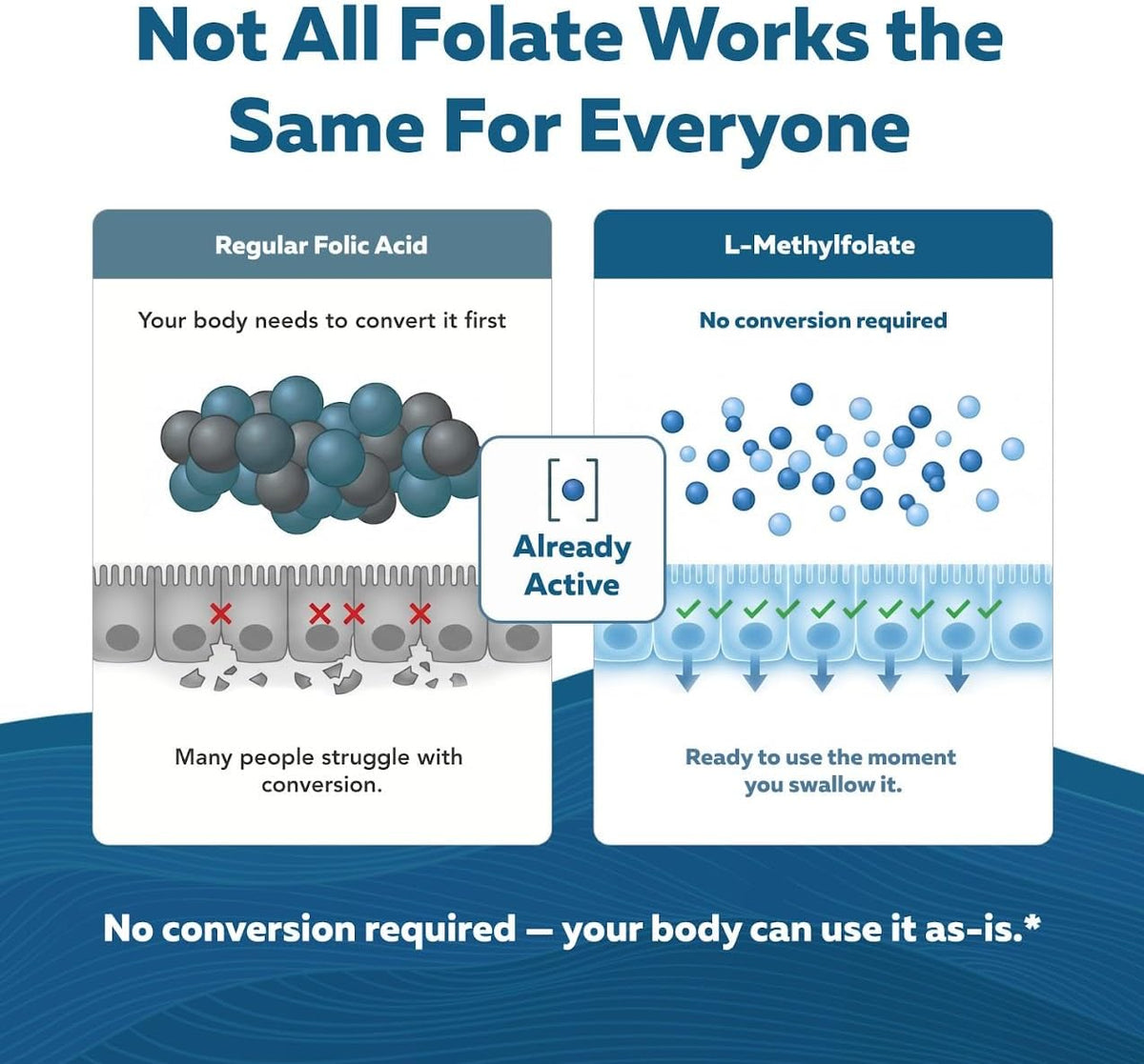 L Methylfolate 7.5mg plus Methyl B12 – Active 5-MTHF Form, MTHFR Supplement - görsel 3